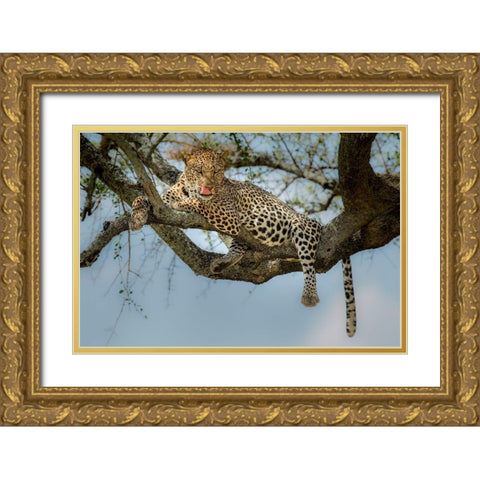 How Tasty You Are! Gold Ornate Wood Framed Art Print with Double Matting by Nadoum, Khaleel