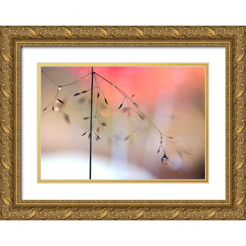 Morning Glow Gold Ornate Wood Framed Art Print with Double Matting by Westum, Heidi