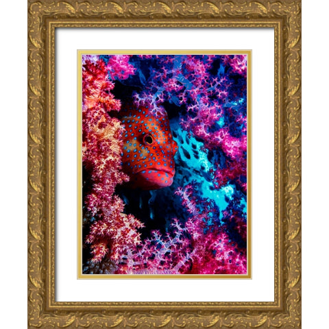 Coral Hind Gold Ornate Wood Framed Art Print with Double Matting by Barchana, Dani