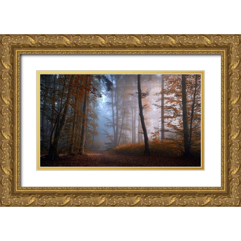 Autumn Colors Gold Ornate Wood Framed Art Print with Double Matting by Maier, Norbert