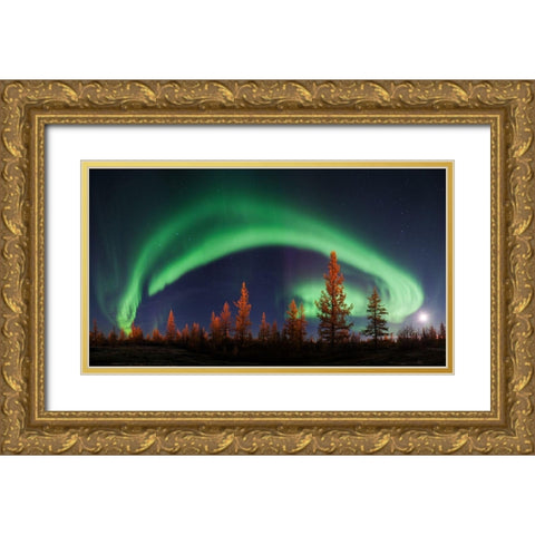 Northern Lights Gold Ornate Wood Framed Art Print with Double Matting by Snegirev, Andrey