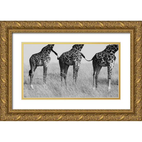 Wild Connection Gold Ornate Wood Framed Art Print with Double Matting by Alnaser, Mohammed