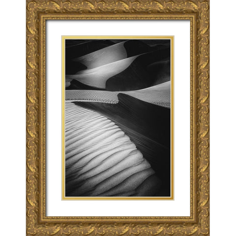 Desert Light Gold Ornate Wood Framed Art Print with Double Matting by Al Adwan, Rami