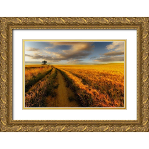 Yellow Gold Ornate Wood Framed Art Print with Double Matting by Krol, Piotr
