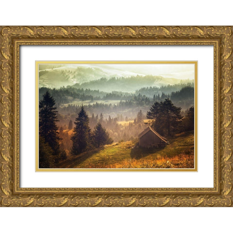 Untitled Gold Ornate Wood Framed Art Print with Double Matting by Hricko, Stanislav