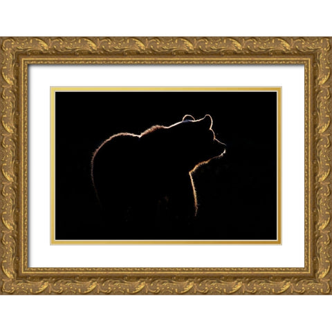 Highlight Gold Ornate Wood Framed Art Print with Double Matting by Golob, Gorazd