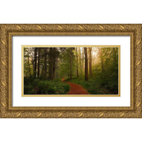 The Red Path. Gold Ornate Wood Framed Art Print with Double Matting by Londal, Leif