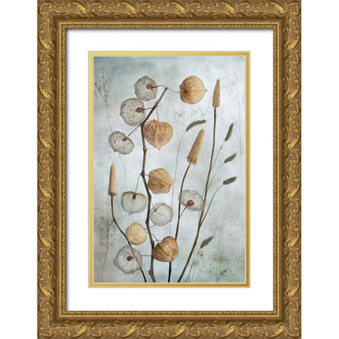 Lanterns Gold Ornate Wood Framed Art Print with Double Matting by Disher, Mandy