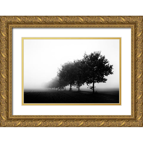 Foggy Day Gold Ornate Wood Framed Art Print with Double Matting by Buchmann, Oliver