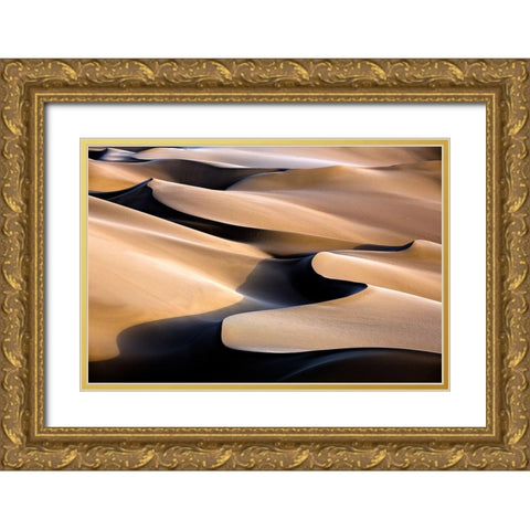 Music Gold Ornate Wood Framed Art Print with Double Matting by Momeni, Mohammadreza