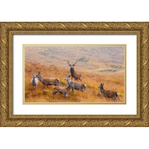 The Guardian Of The Moorland Gold Ornate Wood Framed Art Print with Double Matting by Ruoppolo, Luigi