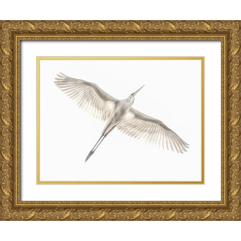 Fly Gold Ornate Wood Framed Art Print with Double Matting by Or, Keren