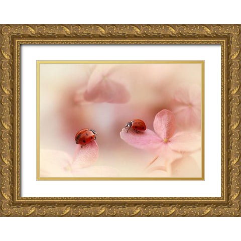 Ladybirds On Pink Hydrangea. Gold Ornate Wood Framed Art Print with Double Matting by Van Deelen, Ellen