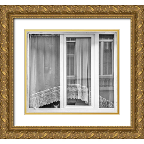 Kitten Window Gold Ornate Wood Framed Art Print with Double Matting by Stoop, Susanne
