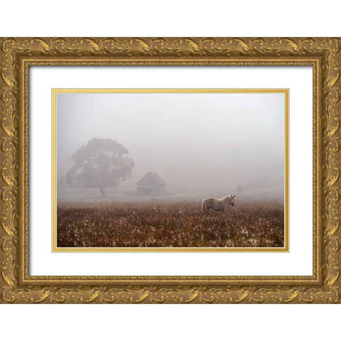 Morning Fog Gold Ornate Wood Framed Art Print with Double Matting by Tanase, Sorin