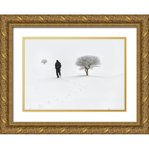 Lone On Snow Gold Ornate Wood Framed Art Print with Double Matting by Ayden, Cem