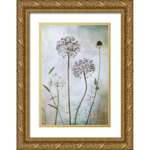 Allium Gold Ornate Wood Framed Art Print with Double Matting by Disher, Mandy