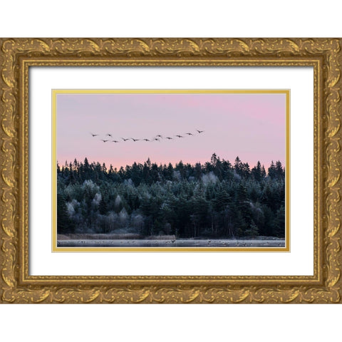 Heading South Gold Ornate Wood Framed Art Print with Double Matting by Emanuelson, Bjorn