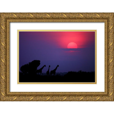 Sunrise In Uganda Gold Ornate Wood Framed Art Print with Double Matting by Merino, Nicolas