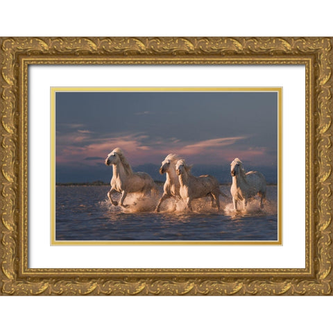 Angels Of Camargue Gold Ornate Wood Framed Art Print with Double Matting by Anton, Rostovskiy