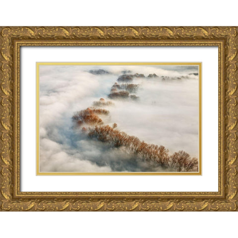 Foggy Valley Gold Ornate Wood Framed Art Print with Double Matting by Carozzi, Fiorenzo