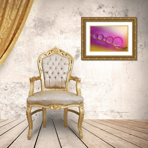 Sweet Blush Gold Ornate Wood Framed Art Print with Double Matting by Westum, Heidi