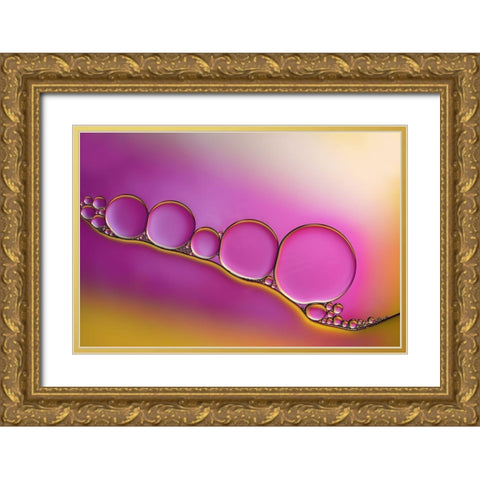 Sweet Blush Gold Ornate Wood Framed Art Print with Double Matting by Westum, Heidi
