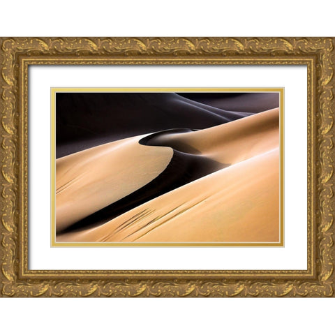 S Gold Ornate Wood Framed Art Print with Double Matting by Momeni, Mohammadreza