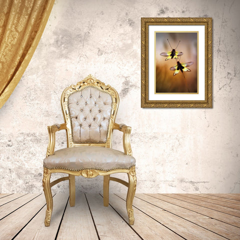 Owlflies Gold Ornate Wood Framed Art Print with Double Matting by Hoffman, Jimmy