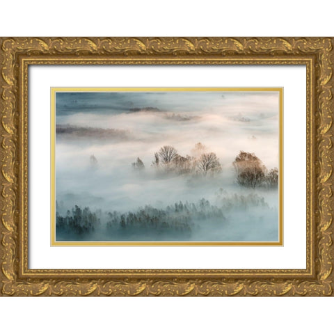 Winter Fog Gold Ornate Wood Framed Art Print with Double Matting by Galimberti, Marco