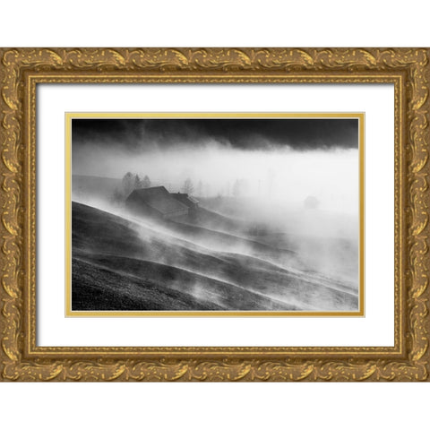 Magic Morning Gold Ornate Wood Framed Art Print with Double Matting by Dorin Lucian, Sveduneac