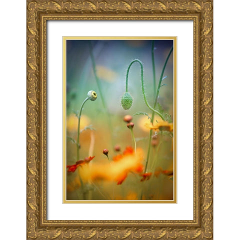 Poppy Field Gold Ornate Wood Framed Art Print with Double Matting by Moore, Steve