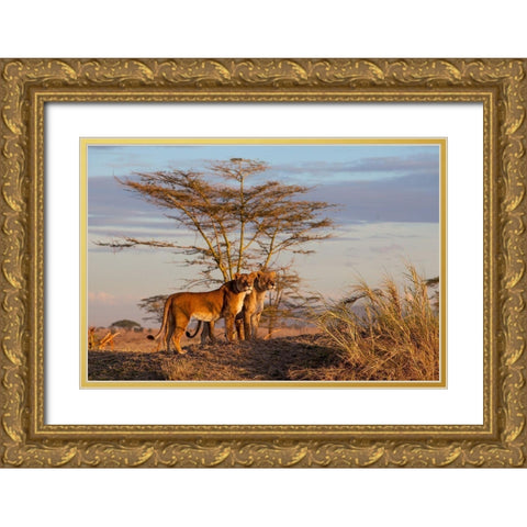 Sisters Gold Ornate Wood Framed Art Print with Double Matting by Catta, Alessandro