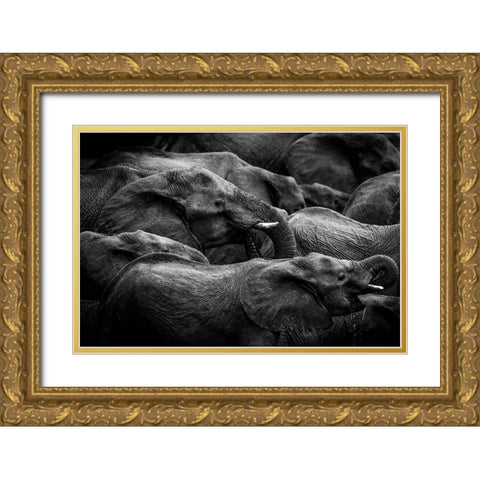 Elephant Herd Gold Ornate Wood Framed Art Print with Double Matting by Eriksson, Denise