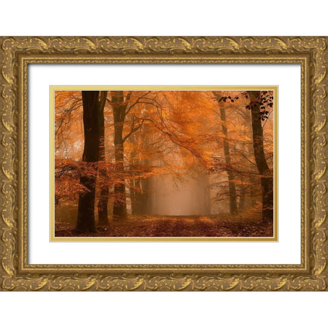 Schmorgenforgen Gold Ornate Wood Framed Art Print with Double Matting by Van De, Lars