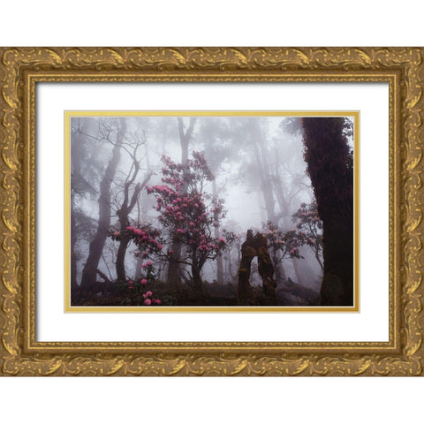Through The Fog Gold Ornate Wood Framed Art Print with Double Matting by Kupratsevich, Dmitry