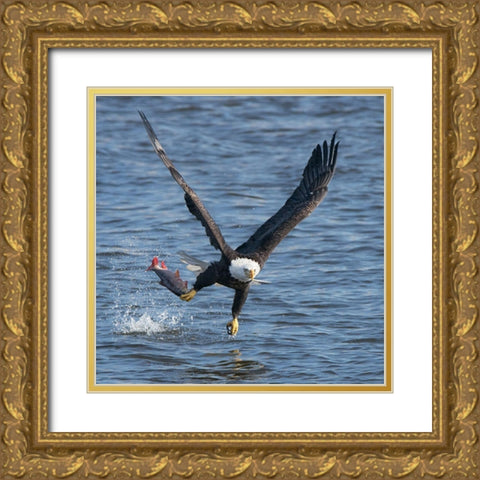 Lunch Over Mississippi Gold Ornate Wood Framed Art Print with Double Matting by Fan, John