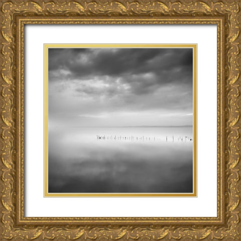 Sixty Shades Of Gray Gold Ornate Wood Framed Art Print with Double Matting by Digalakis, George