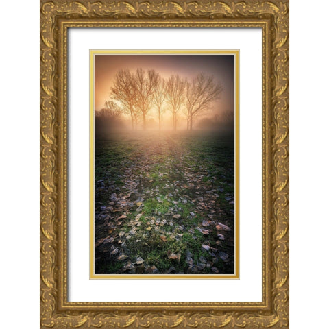 Misty Morning Gold Ornate Wood Framed Art Print with Double Matting by Rebustini, Luca