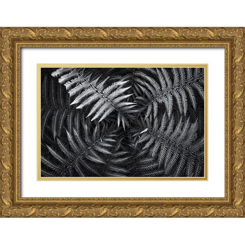 Untitled 56 Gold Ornate Wood Framed Art Print with Double Matting by E. Karcz, Gary