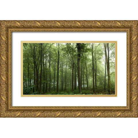 Forest... Gold Ornate Wood Framed Art Print with Double Matting by Londal, Leif