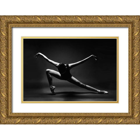 Soaring Gold Ornate Wood Framed Art Print with Double Matting by Alexandr