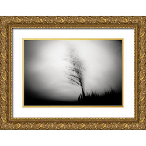 Shadow Dancer Gold Ornate Wood Framed Art Print with Double Matting by Fuhg, Dorit