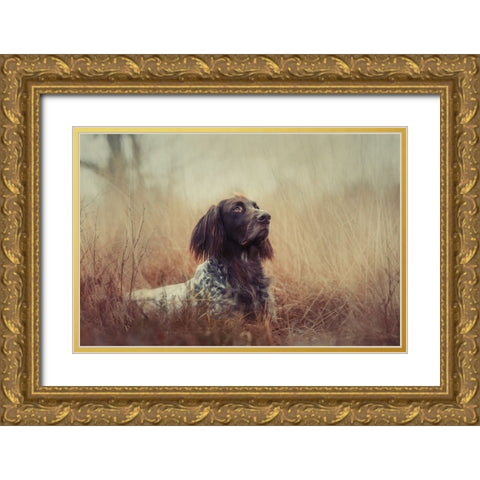 Beautiful Aragorn Gold Ornate Wood Framed Art Print with Double Matting by Willers, Heike