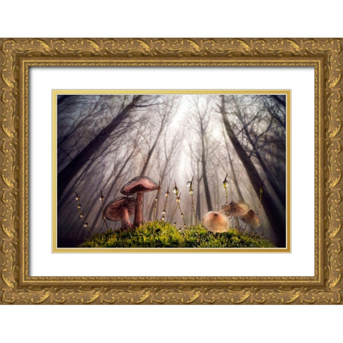 Small And Giant Creatures Of The Woods Gold Ornate Wood Framed Art Print with Double Matting by Ghizzi Panizza, Alberto