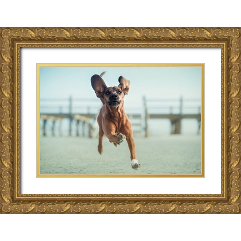 Up-Up To The Sky Gold Ornate Wood Framed Art Print with Double Matting by Willers, Heike