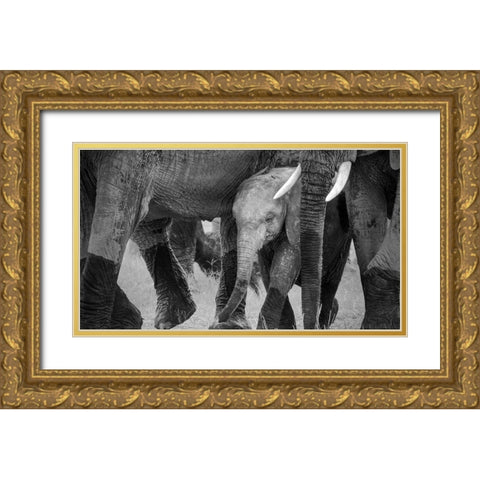 Family Protection Gold Ornate Wood Framed Art Print with Double Matting by Fan, John