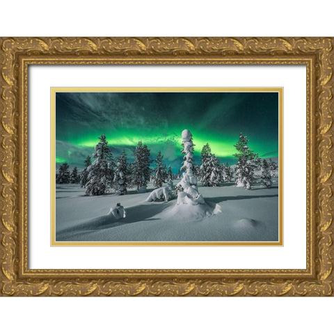 Polar Night Gold Ornate Wood Framed Art Print with Double Matting by Hoffmann, Raymond