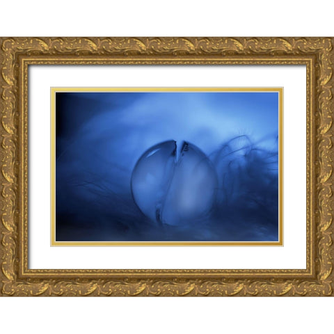 Cracks Gold Ornate Wood Framed Art Print with Double Matting by Westum, Heidi