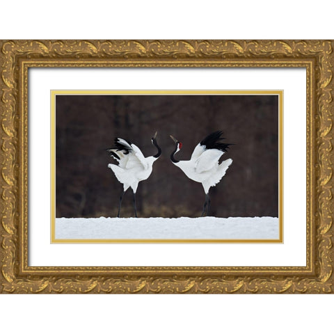 Lovers Gold Ornate Wood Framed Art Print with Double Matting by Tjandra, C.S.